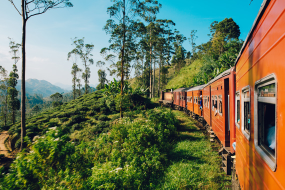 Train travelling through countryside in Sri Lanka